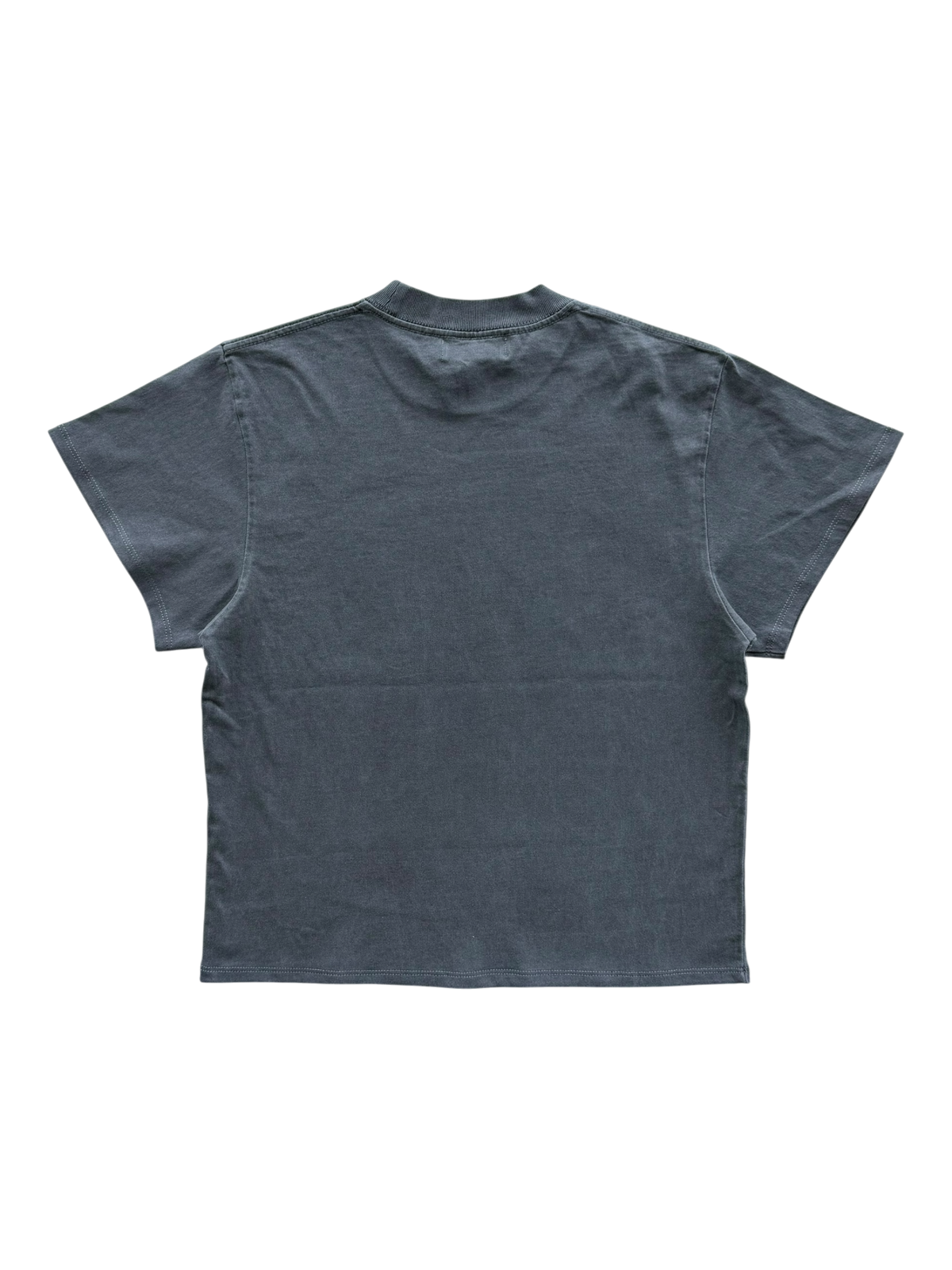 Tiger Photo Tee Grey