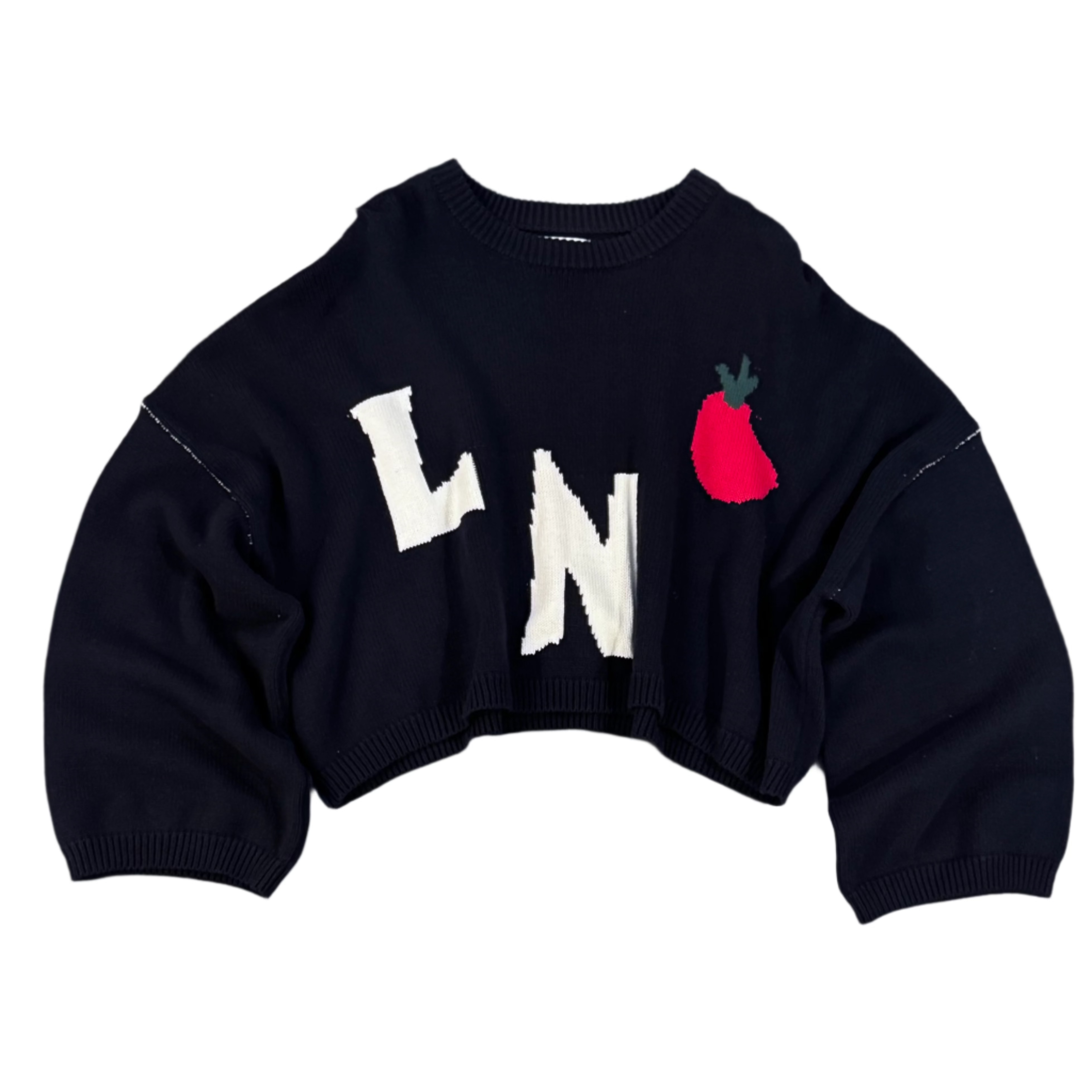 Le Reve Blue Knit Sweater