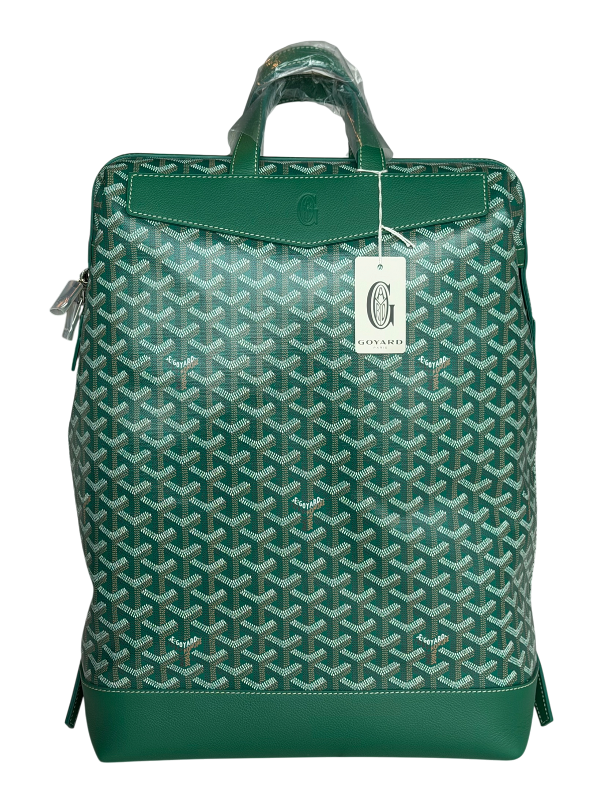 Cisalpin Backpack Green