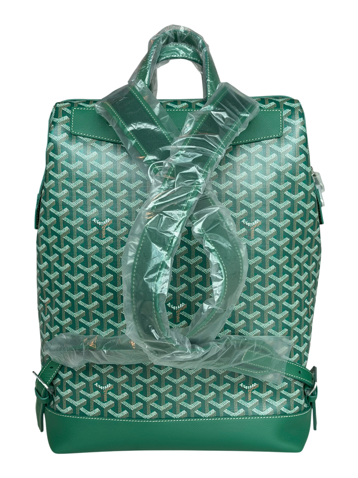 Cisalpin Backpack Green