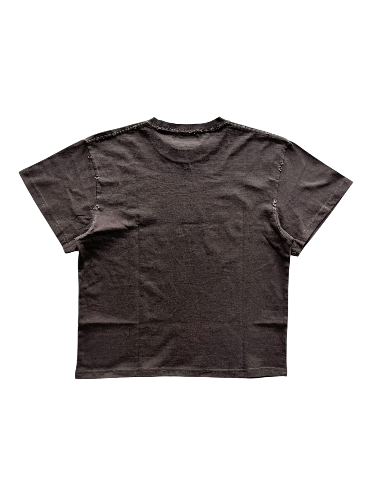 Collage Distressed Tee Brown