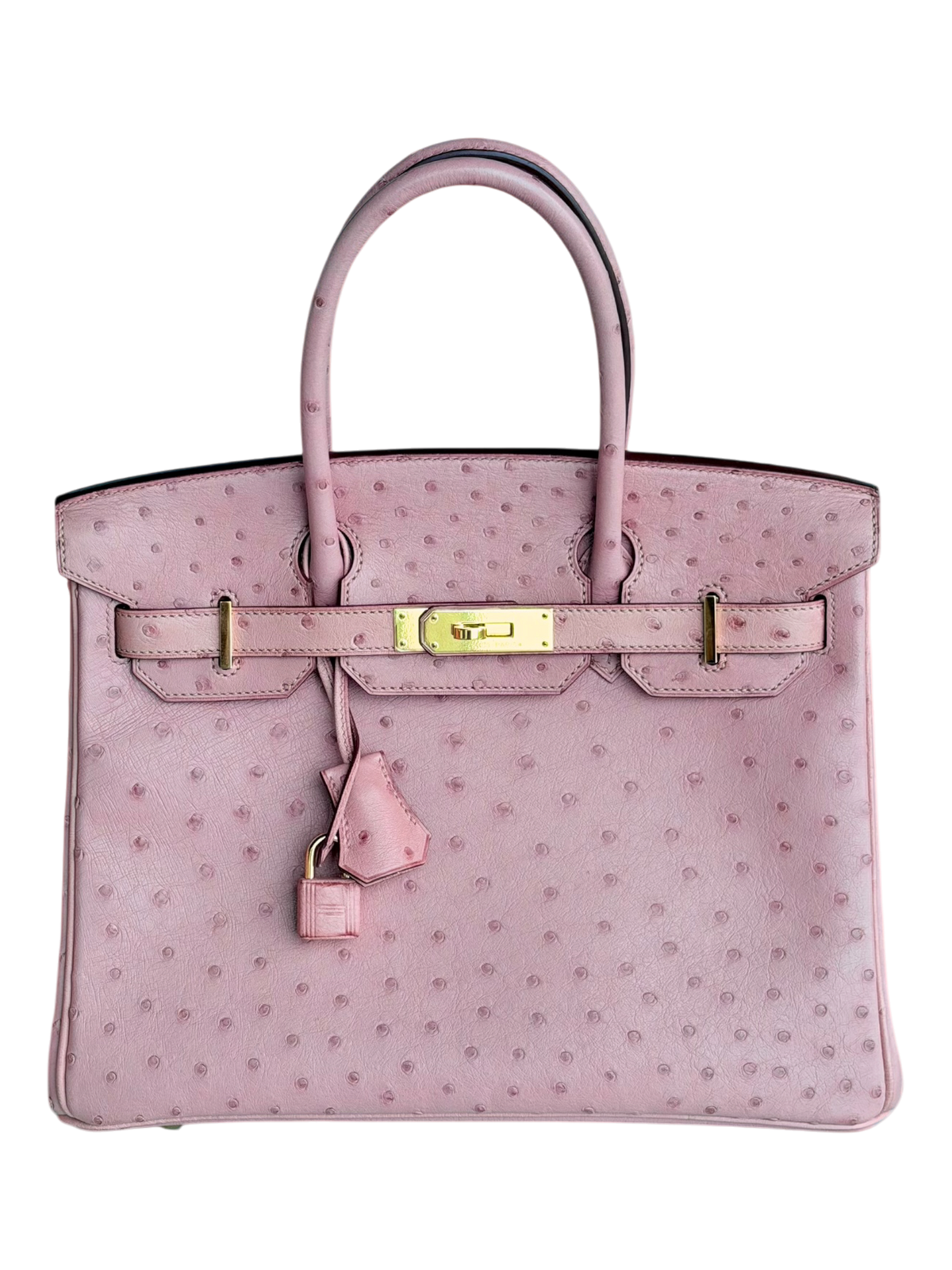 Terre Culte Ostrich & Gold Hardware Birkin 30
