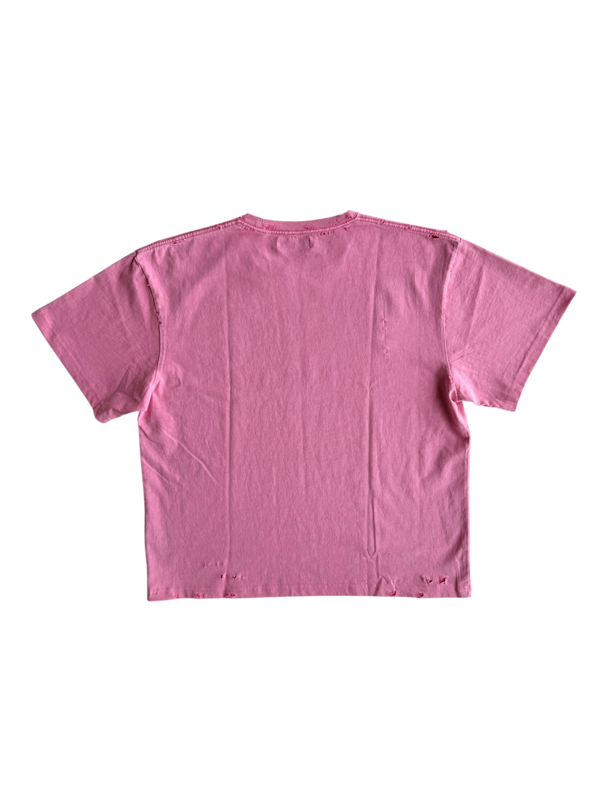 Bloom Distressed Tee Pink