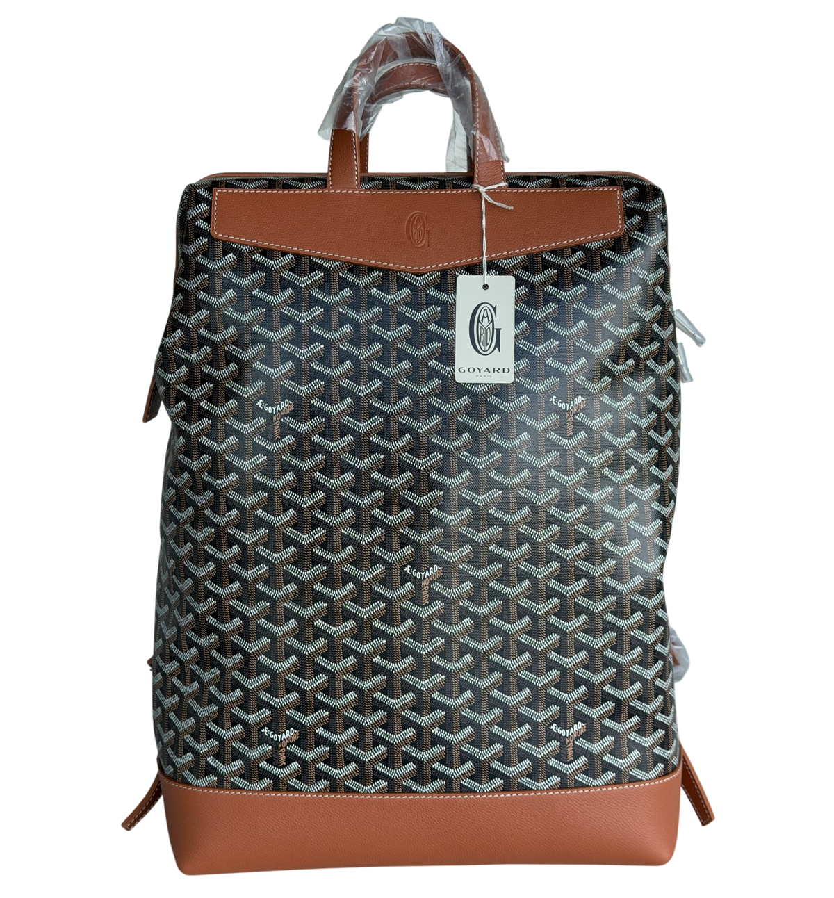 Black & Brown Cisalpin Backpack