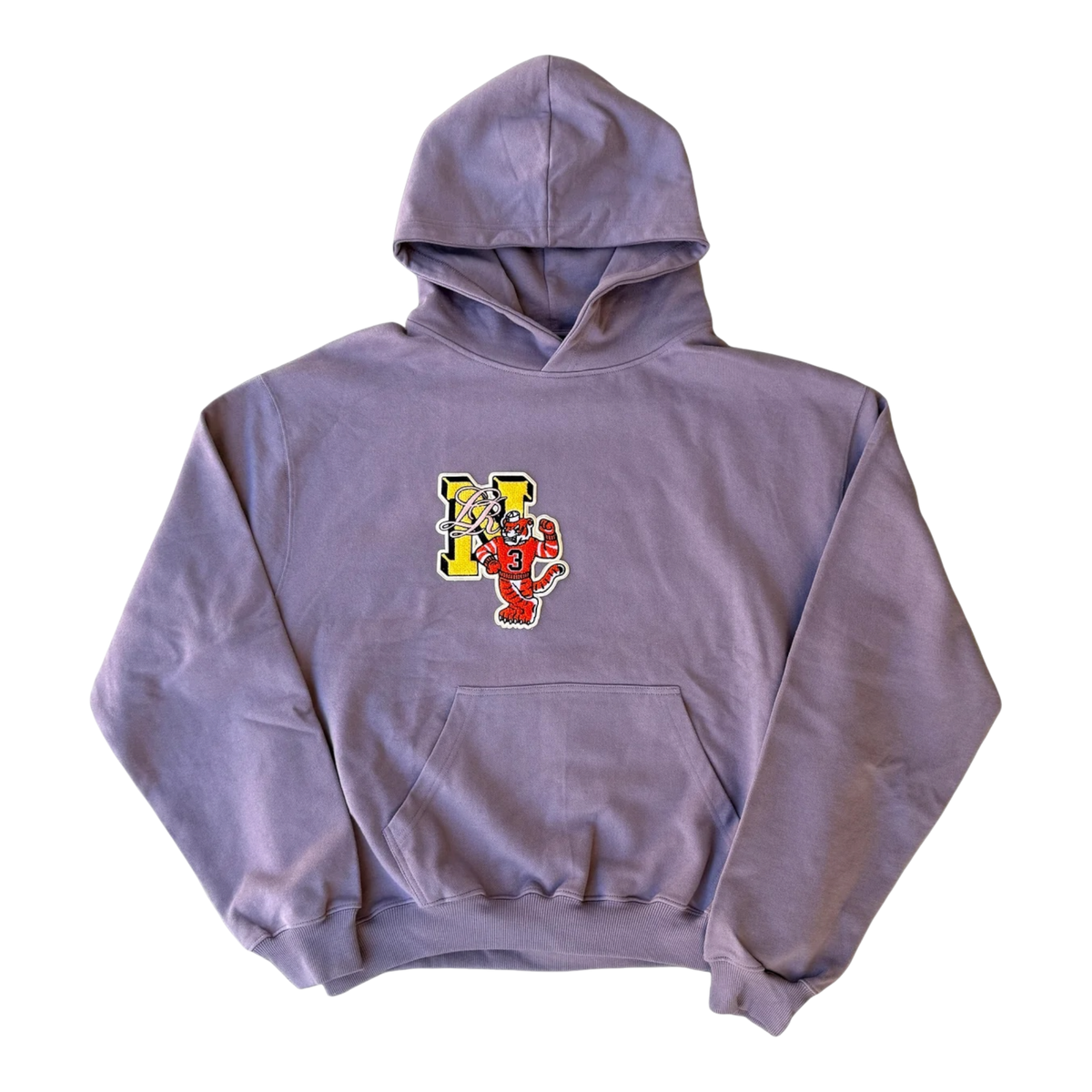 Sage Varsity Hoodie