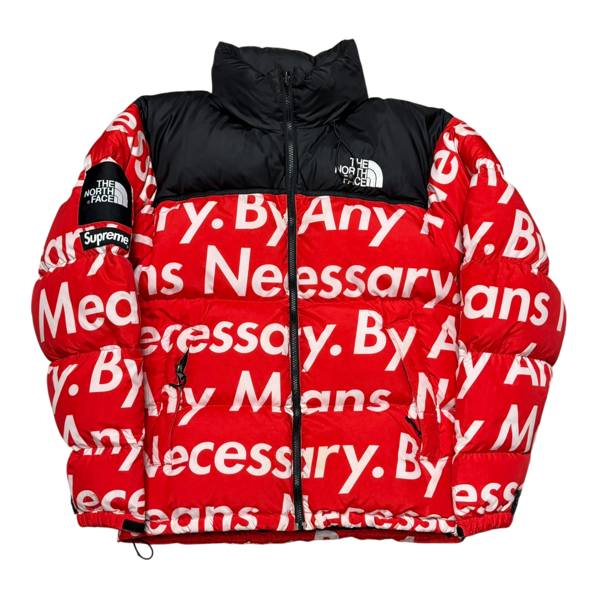 The North Face By Any Means Nuptse Jacket