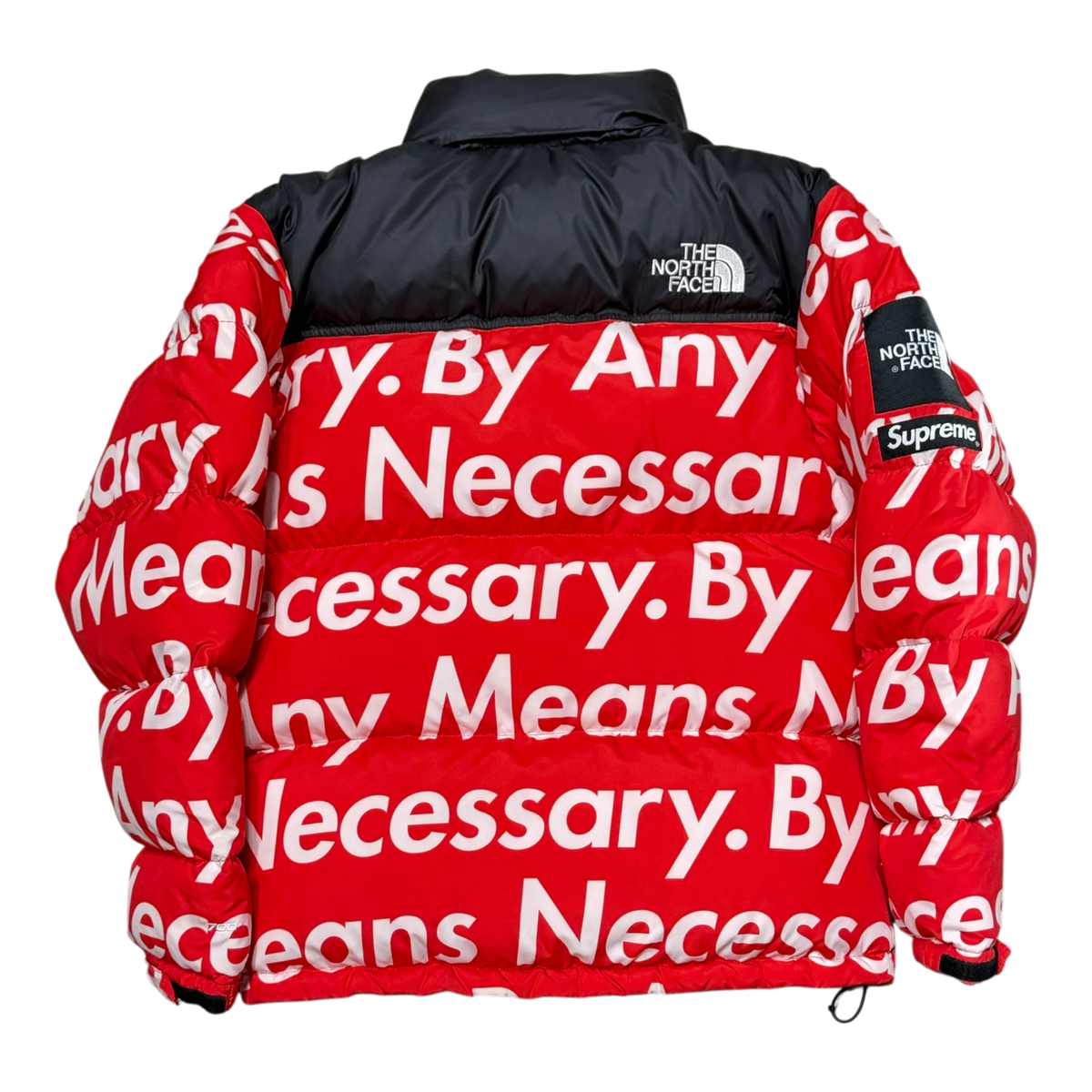 The North Face By Any Means Nuptse Jacket