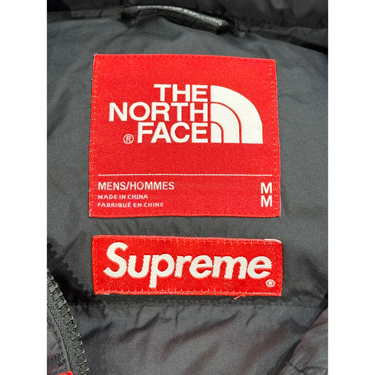 The North Face By Any Means Nuptse Jacket