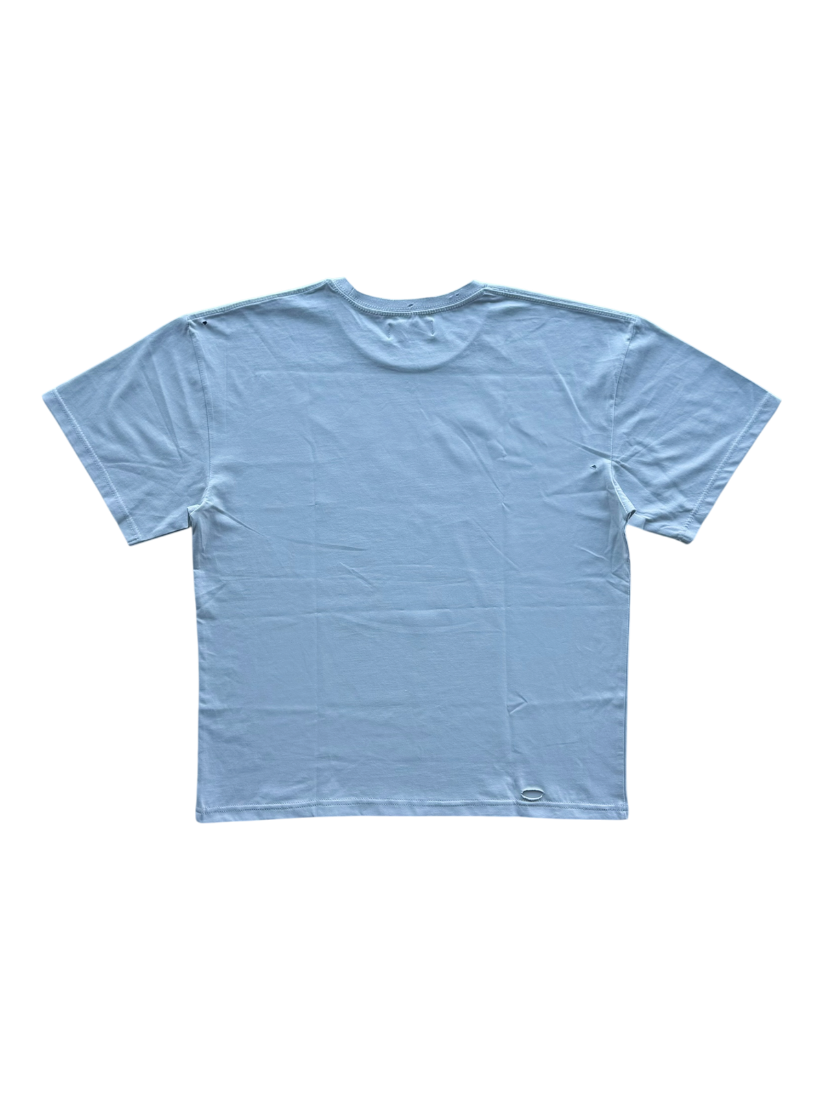 Charlotte's Web Distressed Tee Grey
