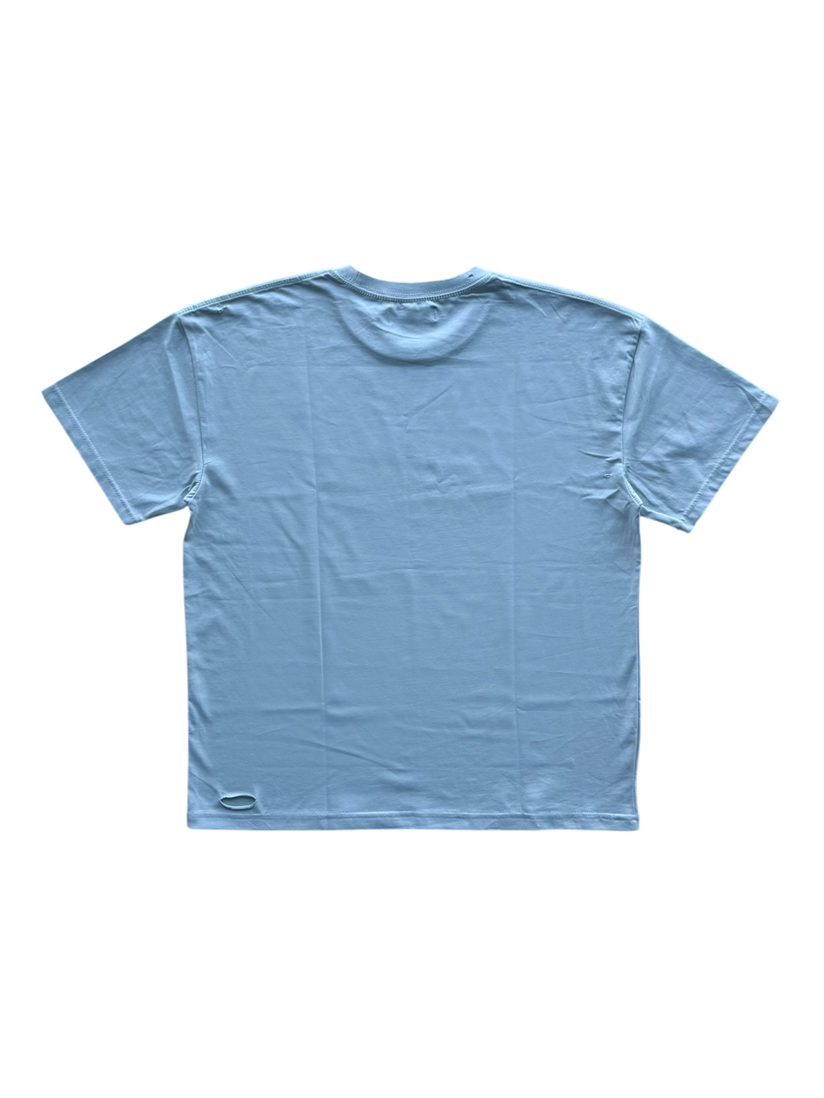 Carry On Distressed Tee Grey