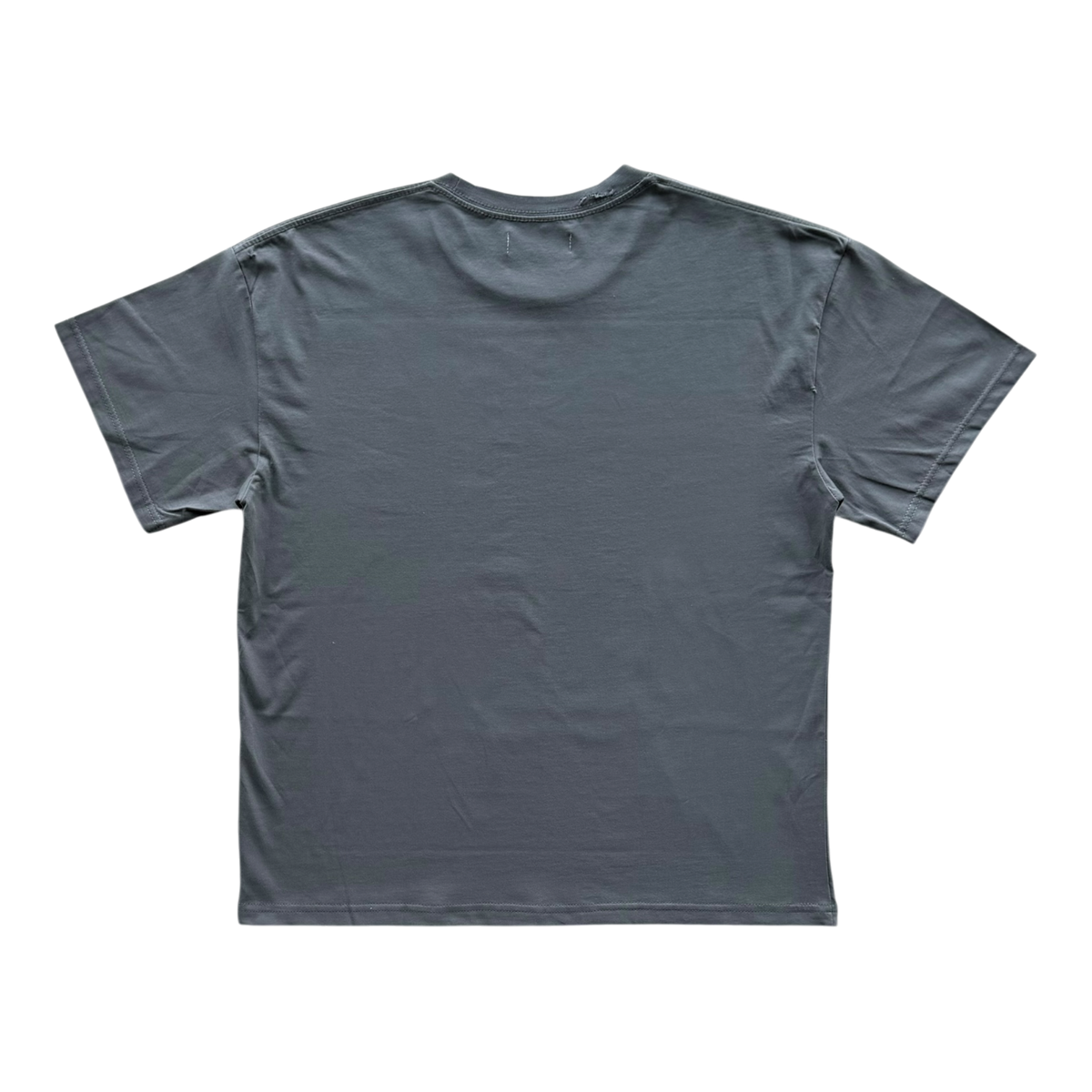 Punk Rock Distressed Tee Grey