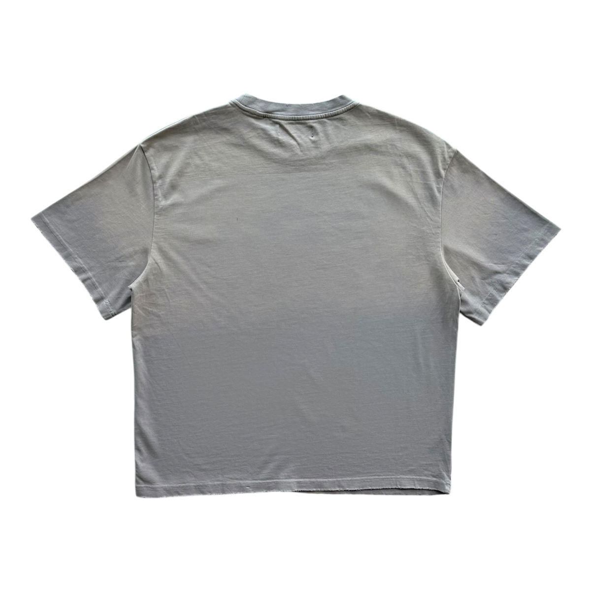 Poodle Distressed Tee Tan