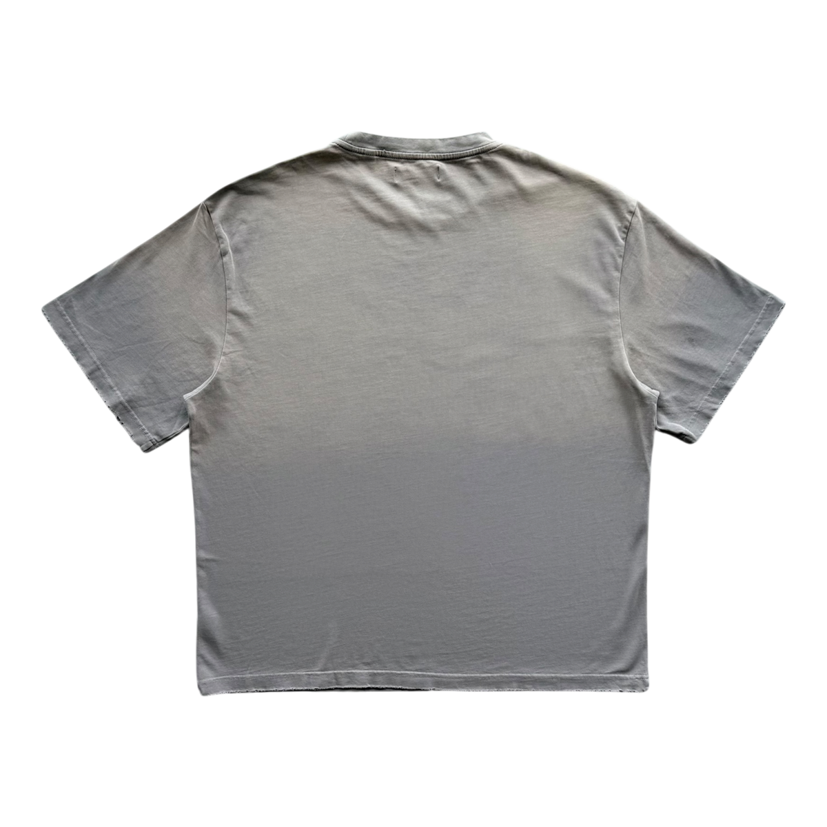 Portrait Distressed Tee Tan