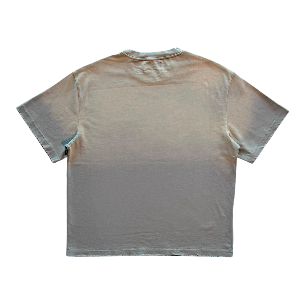 Surgery Distressed Tee Tan