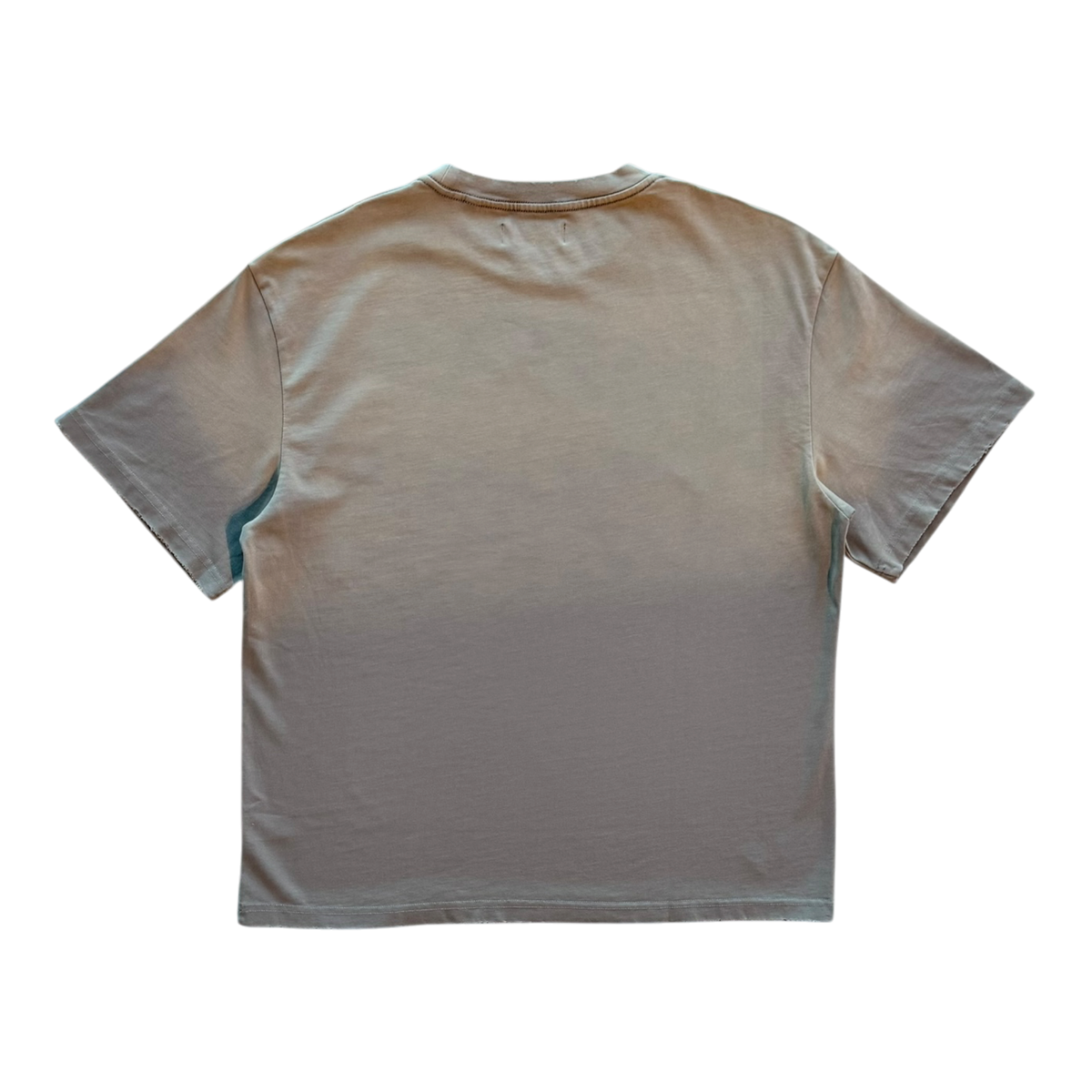 Vintage Distressed Tee Tan