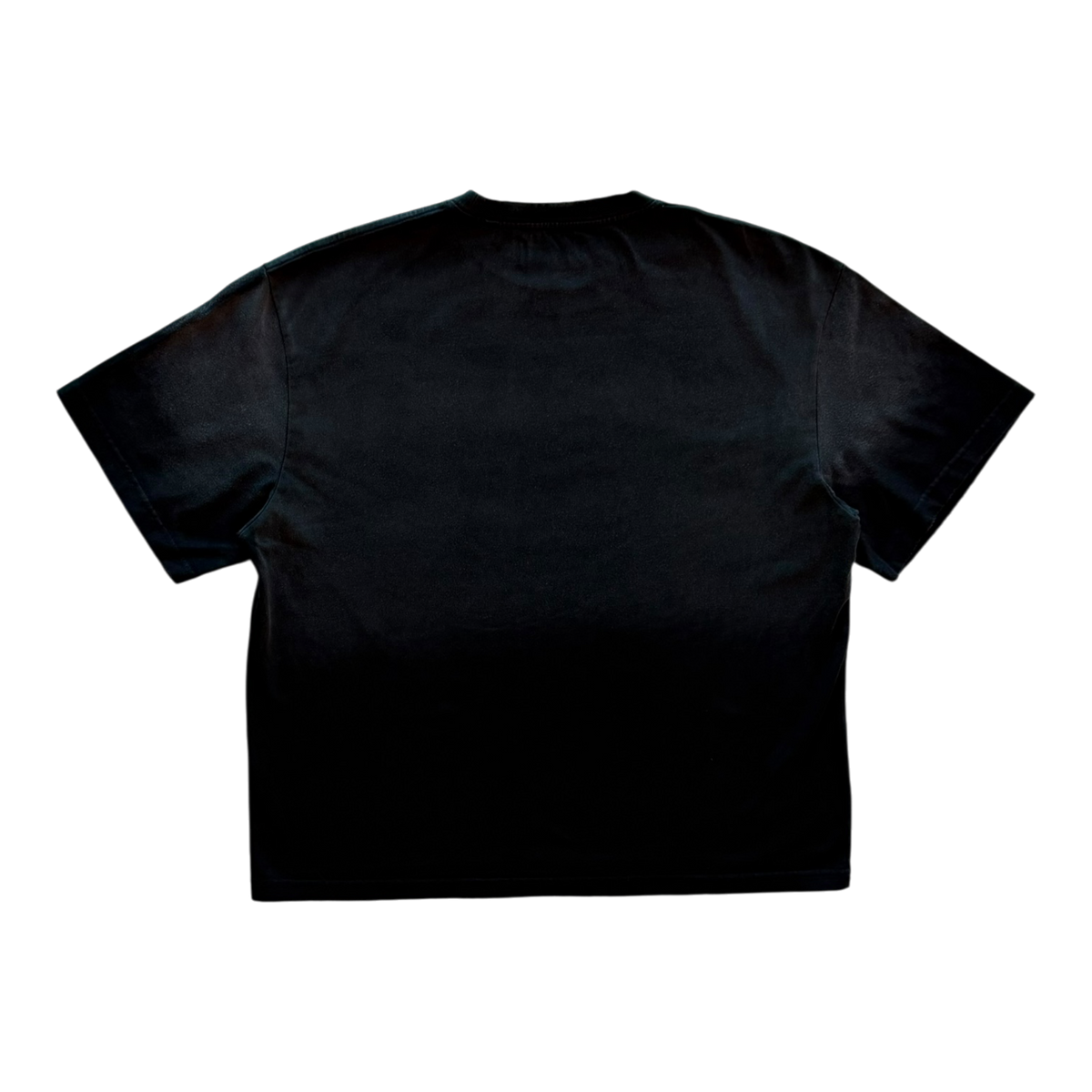 Poodle Distressed Tee Black