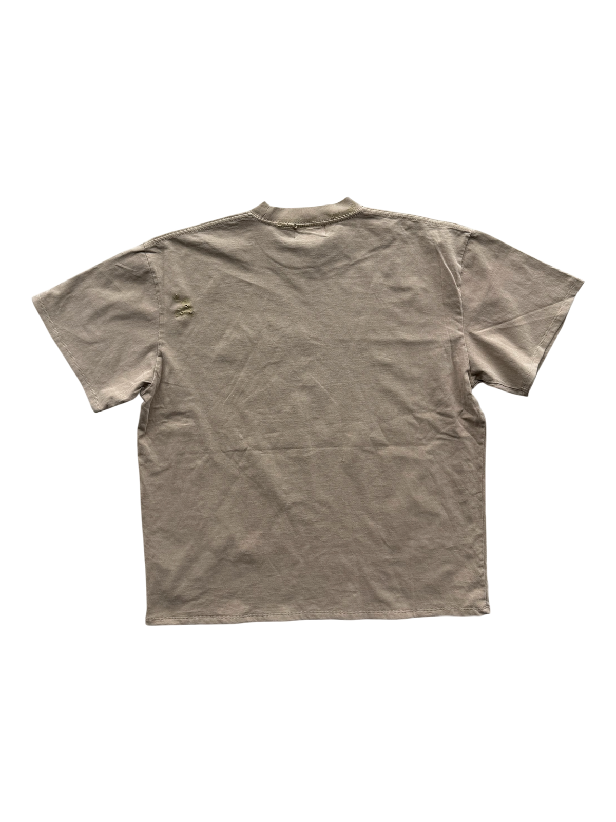 Bloom Distressed Tee Beige