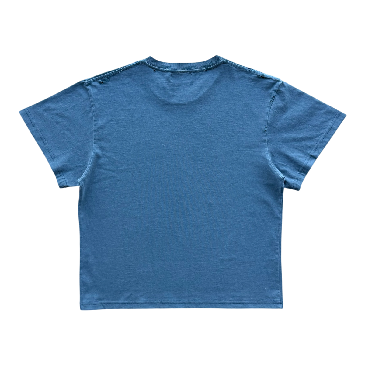 Model Distressed Tee Blue