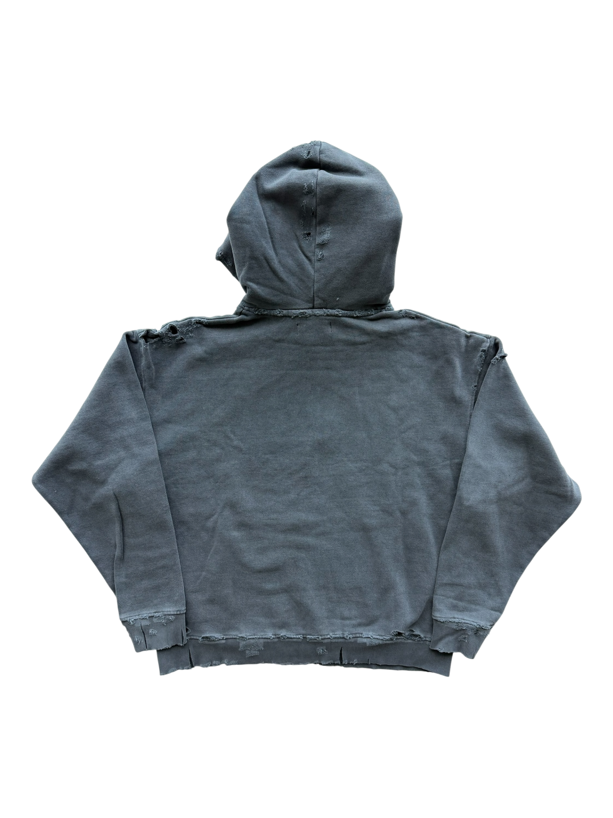 Art Type Distressed Hoodie