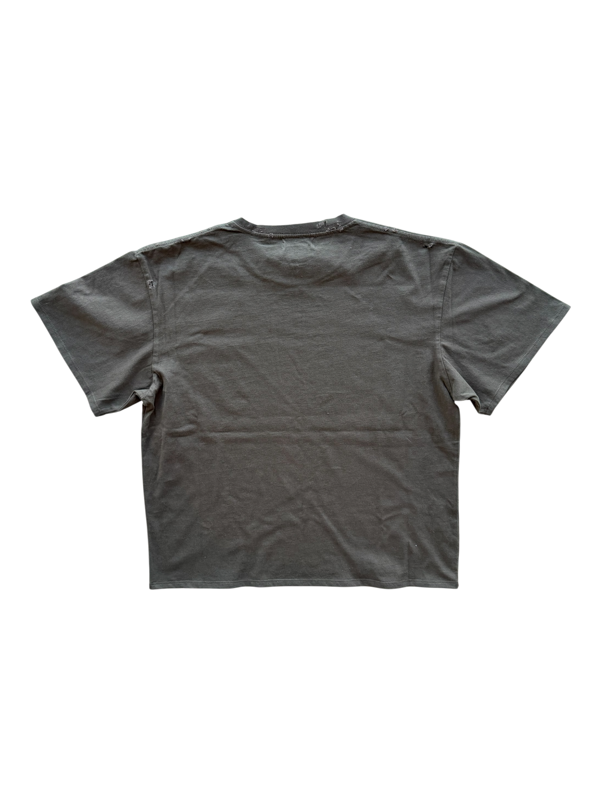 Tourist Distressed Tee Brown