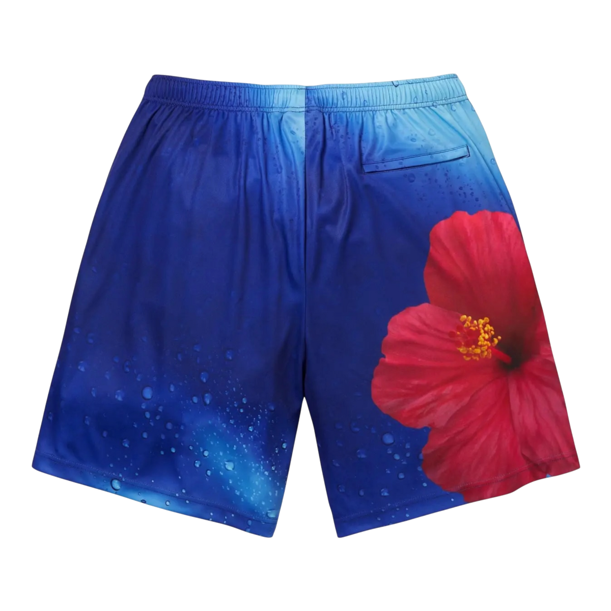 Supreme Fiji Soccer Short Multicolor