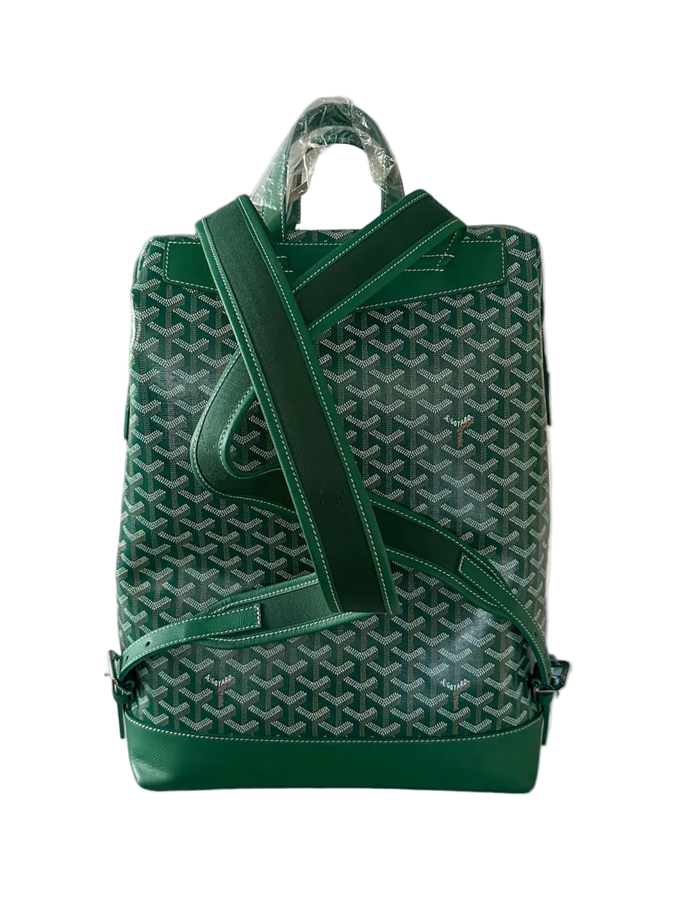 Goyard Green Cisalpin Backpack