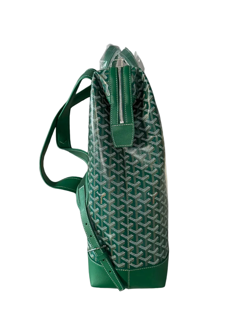 Goyard Green Cisalpin Backpack