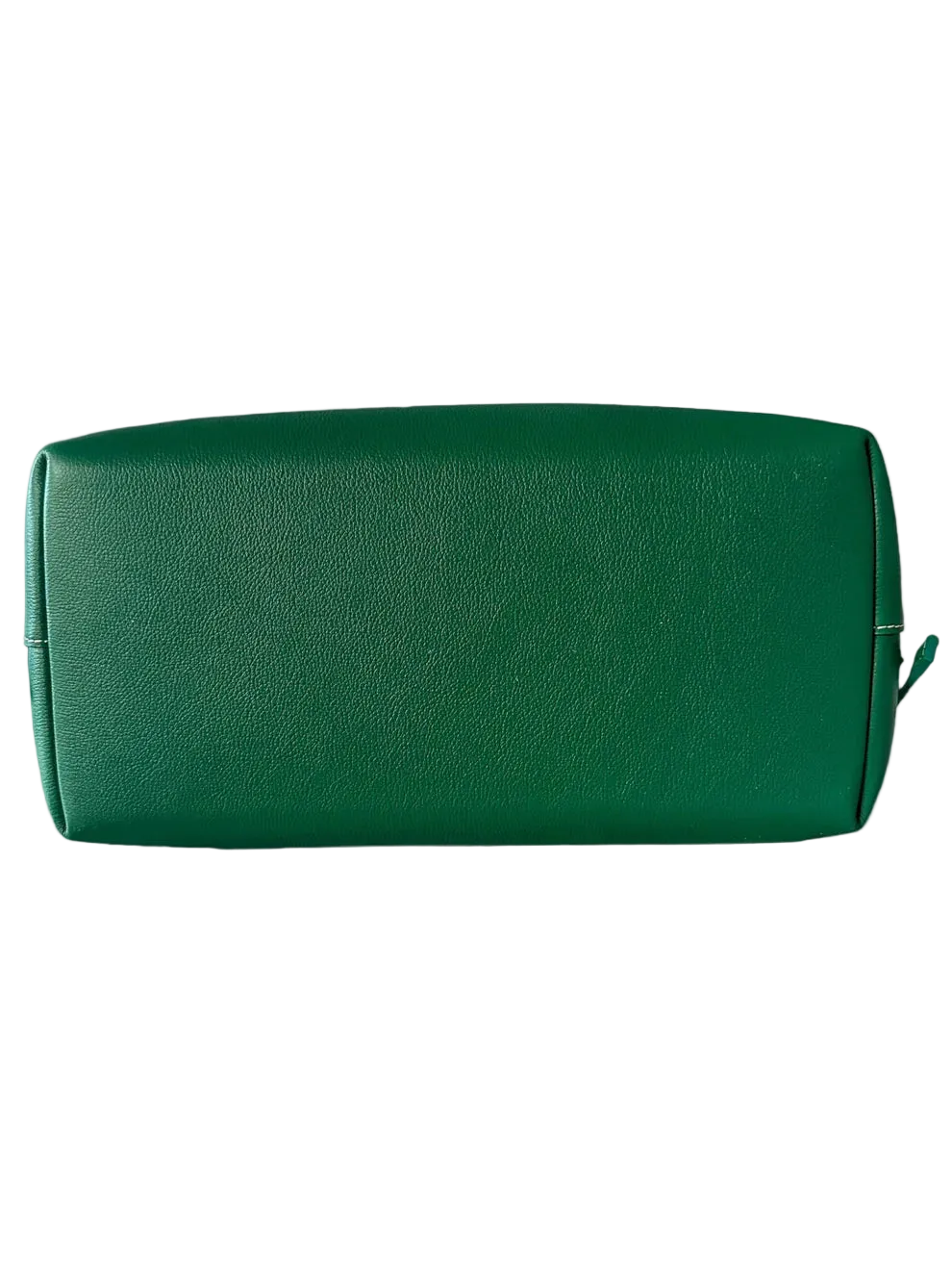 Goyard Green Cisalpin Backpack