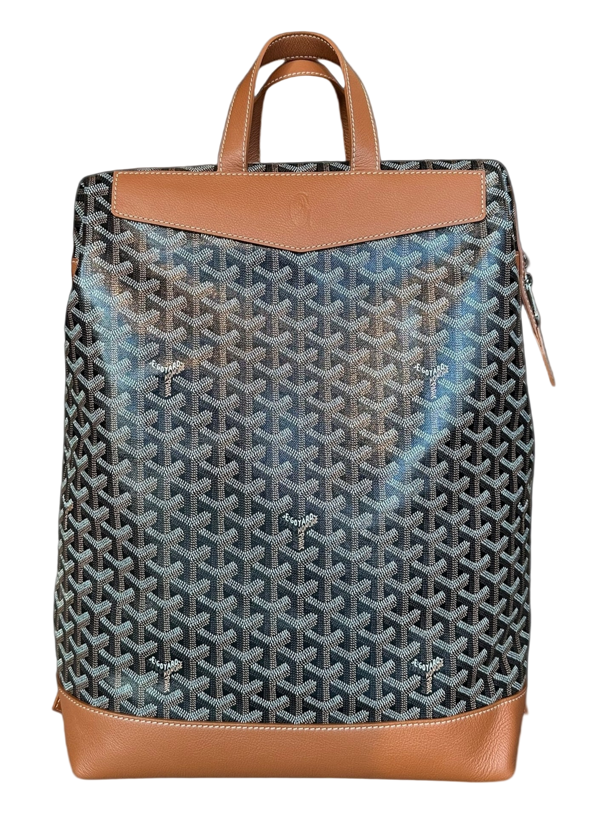 Black & Brown Cisalpin Backpack
