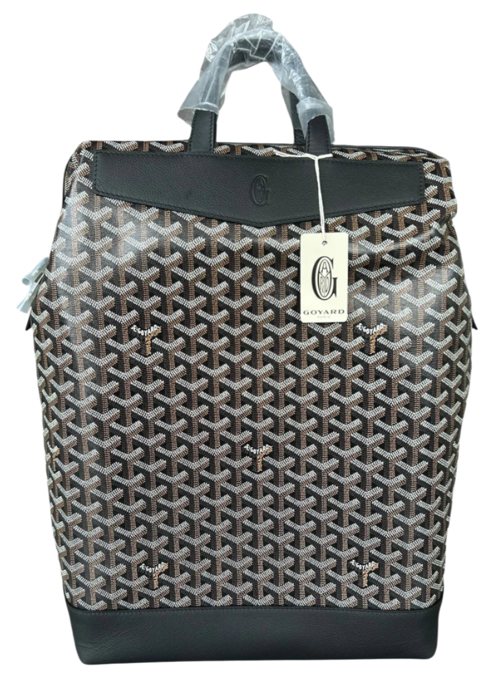 Black Cisalpin Backpack