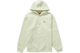 Small Box Hooded Sweatshirt (SS22) Pale Green