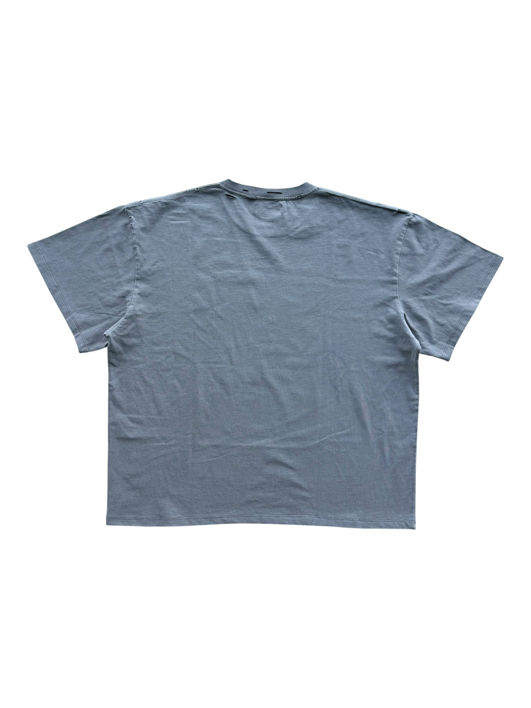 Bloom Distressed Tee Grey