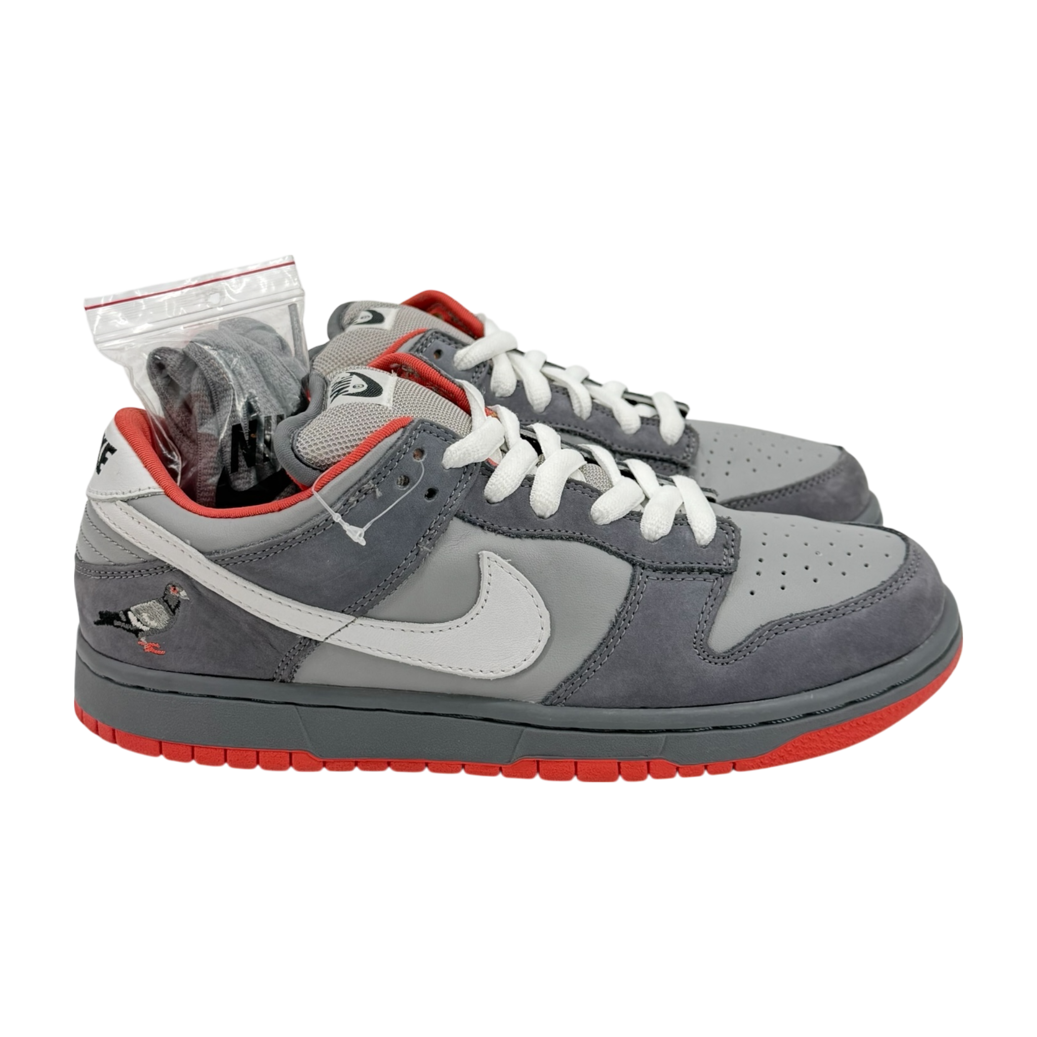 sb staple nyc pigeon