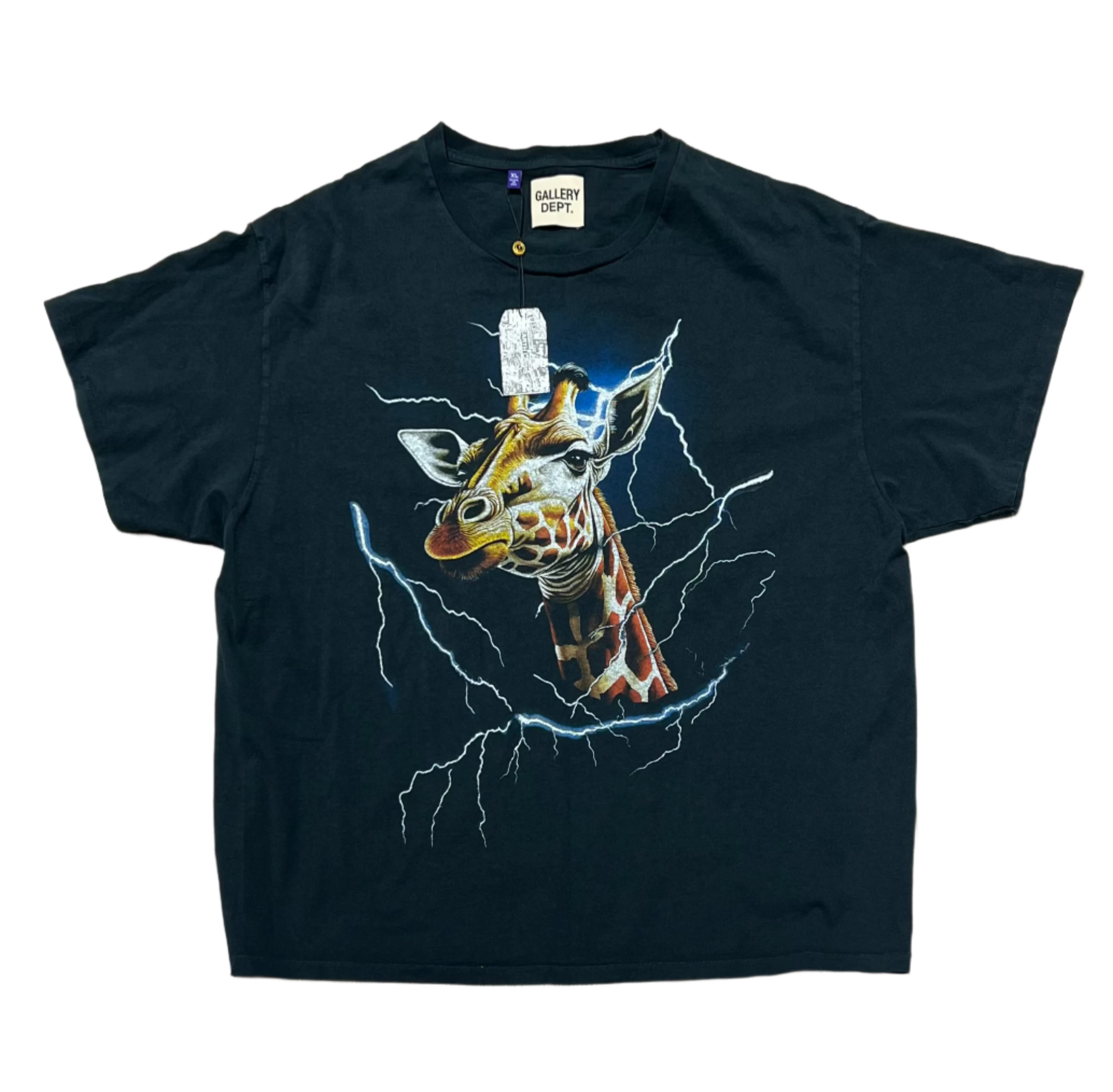 Theme Park Tee