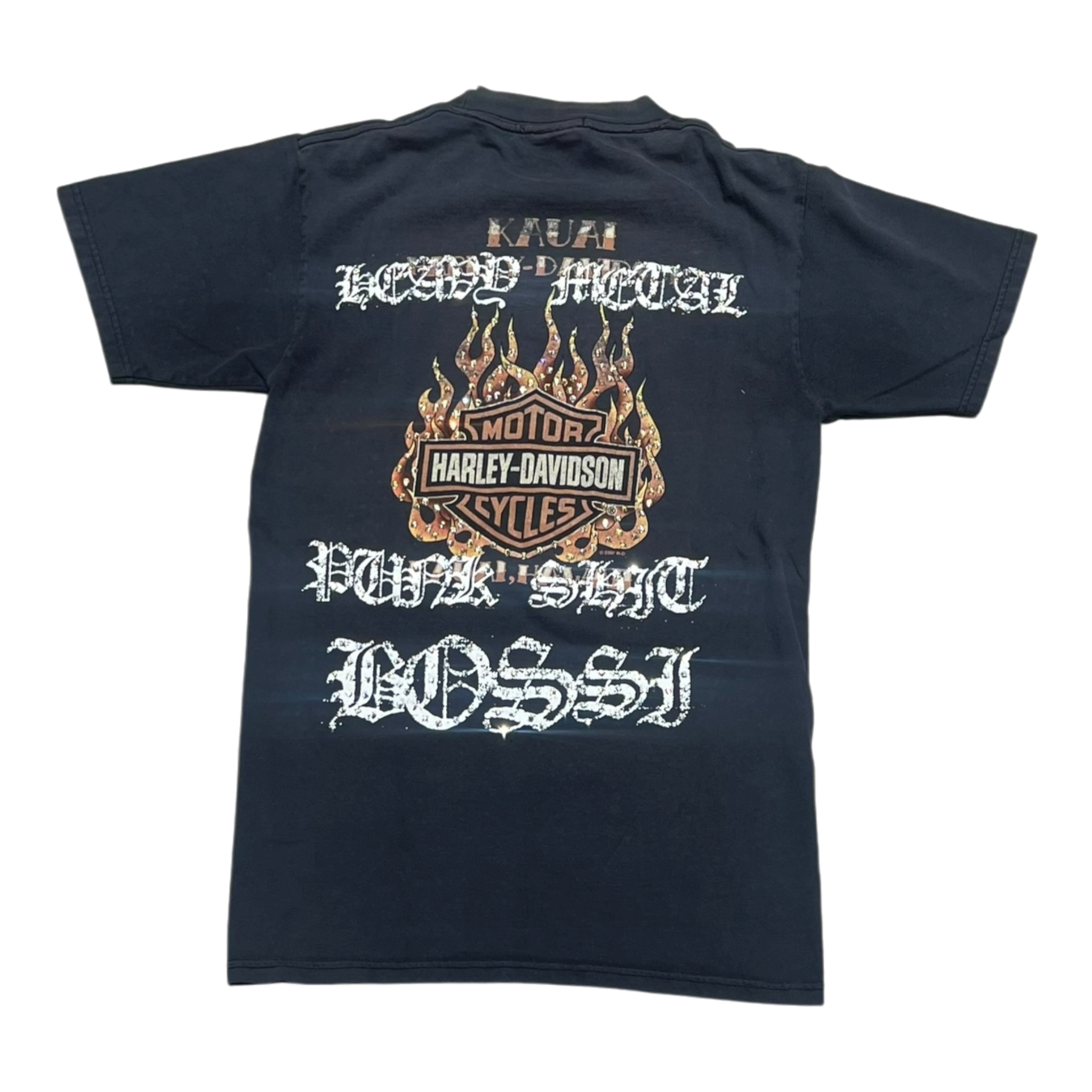Harley Davidson Skull Vintage Rhinestone Tee (FW25)