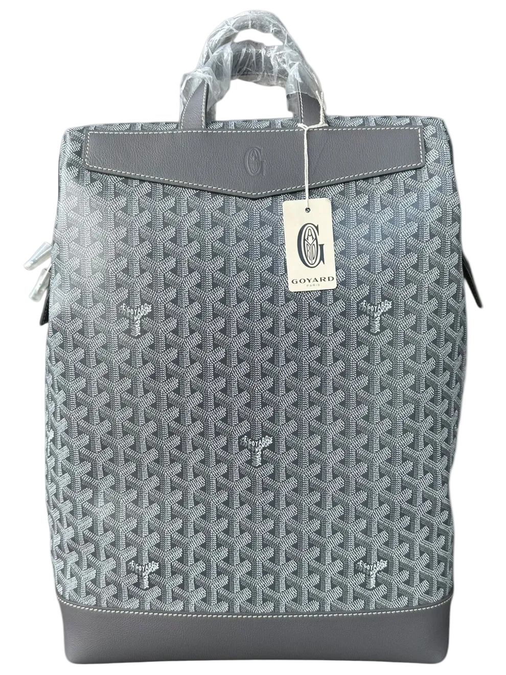 Grey Cisalpin Backpack