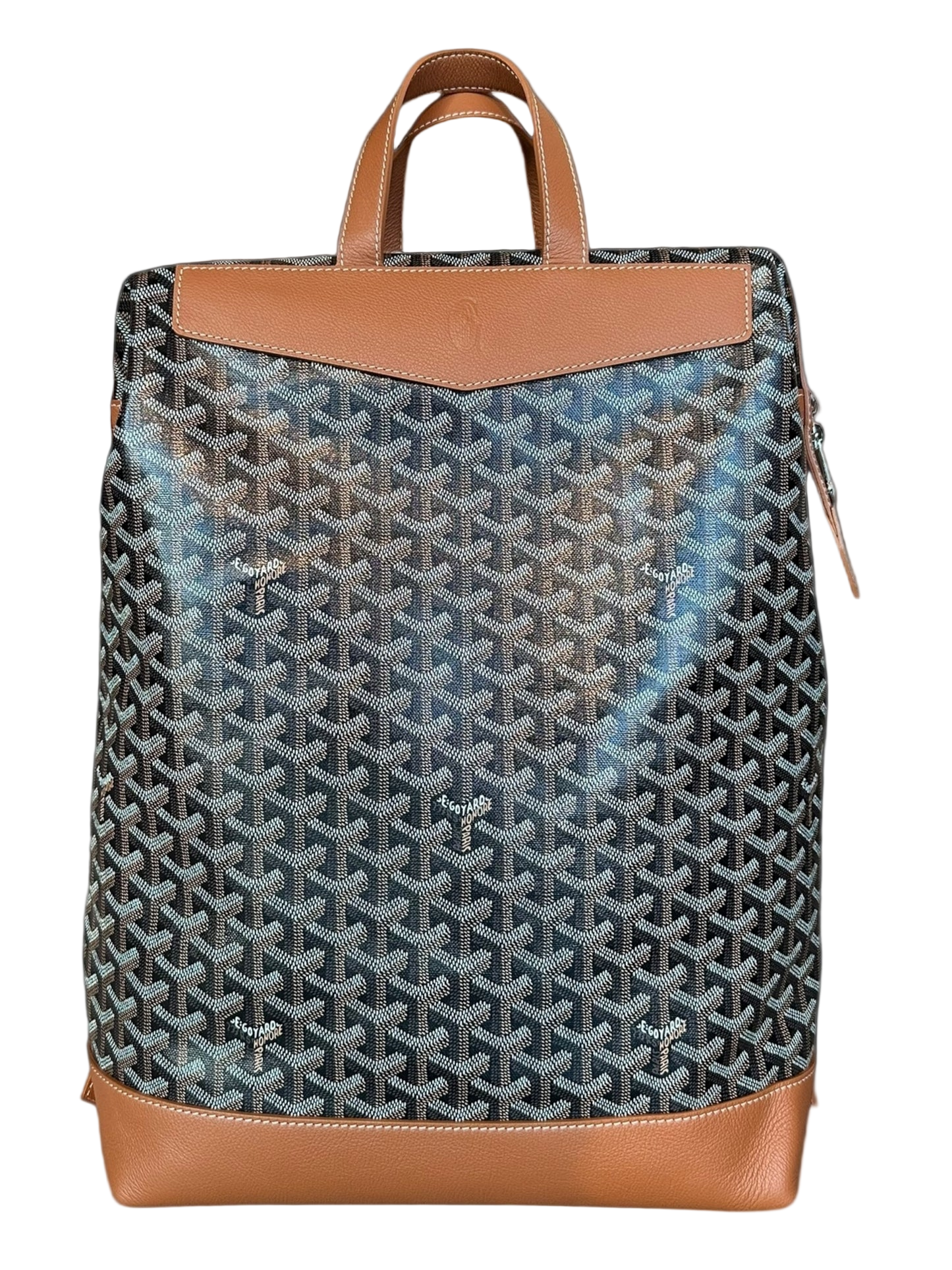 Black & Brown Cisalpin Backpack