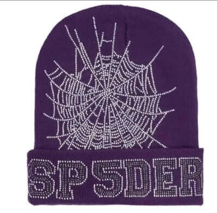 Web Beanie Purple