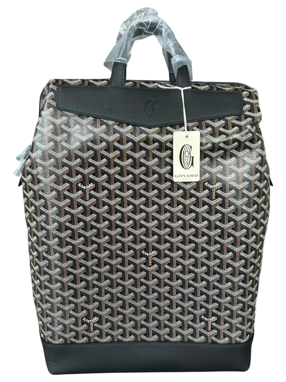 Black Cisalpin Backpack