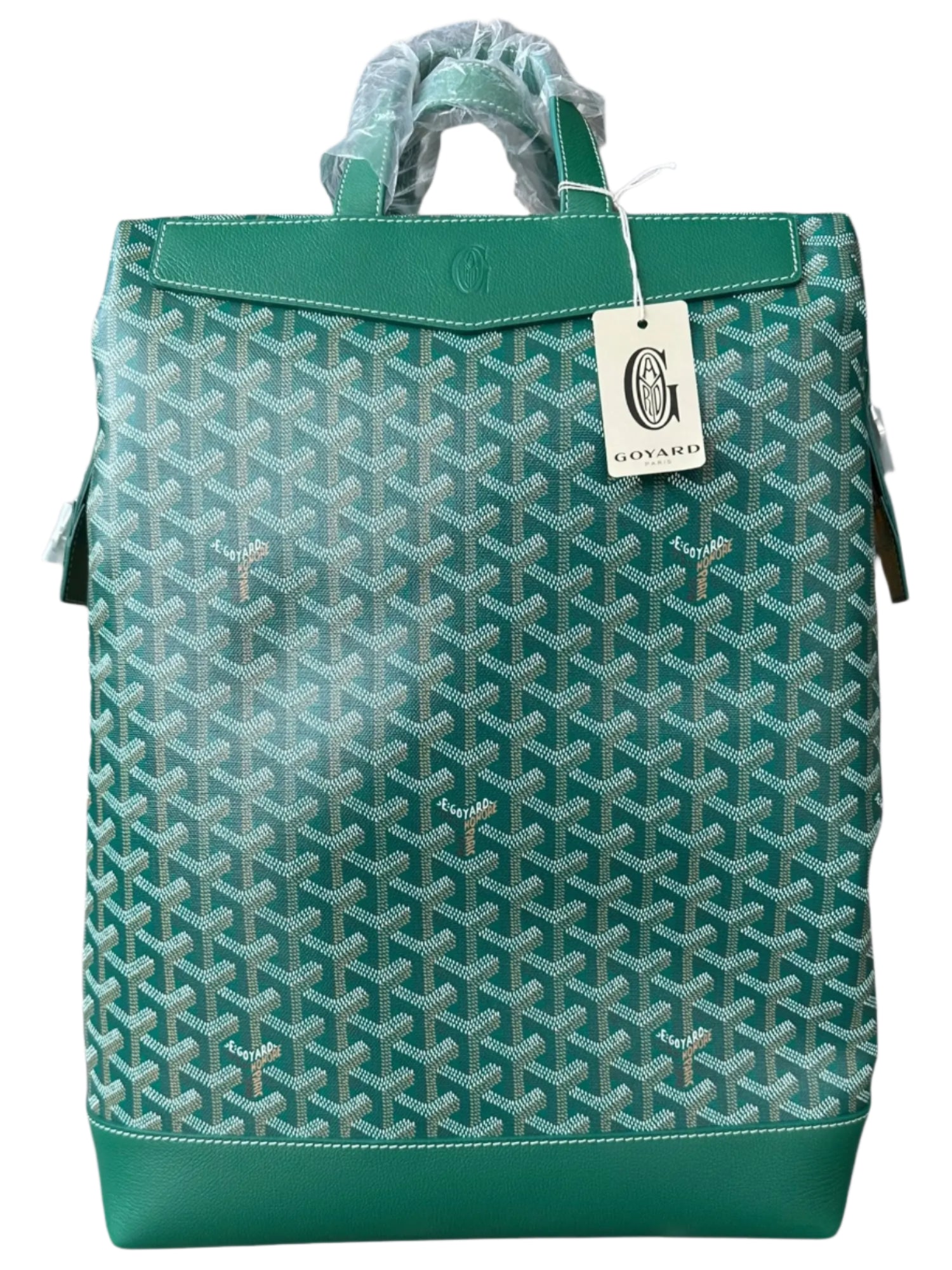 Goyard Green Cisalpin Backpack