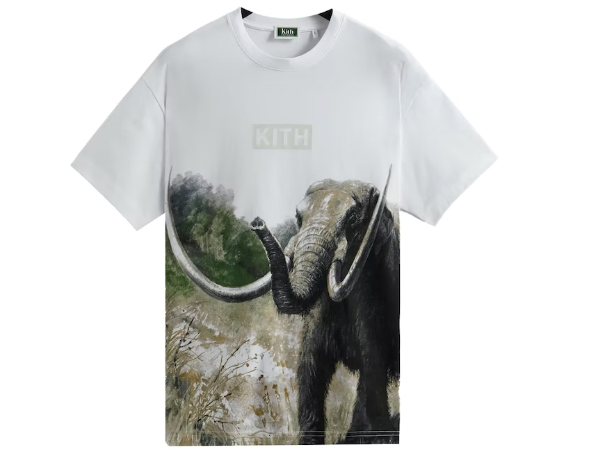 for AMNH Late Mammals Vintage Tee